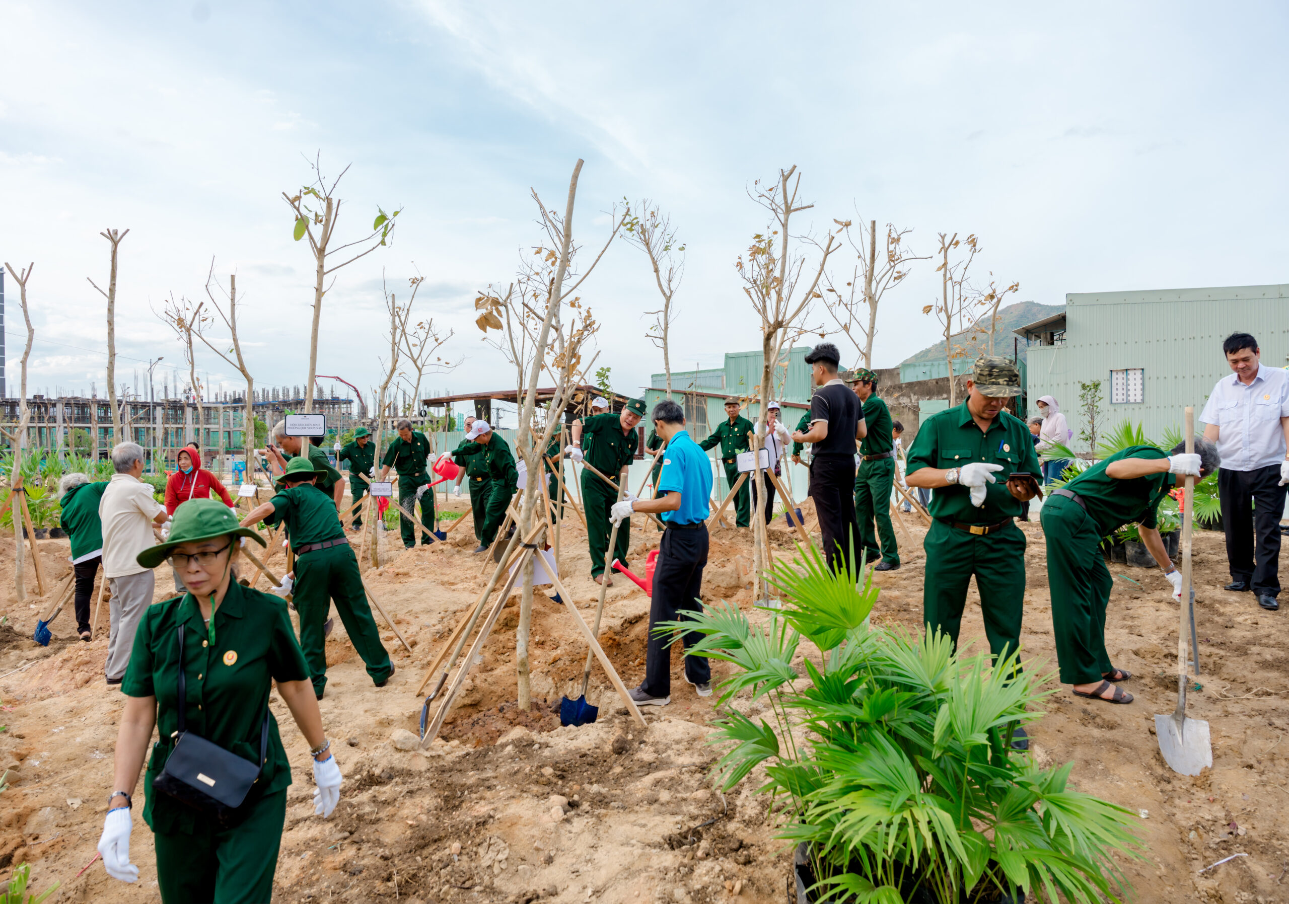 Trồng 428 cây xanh tại Phú Gia Living Garden Quy Nhơn