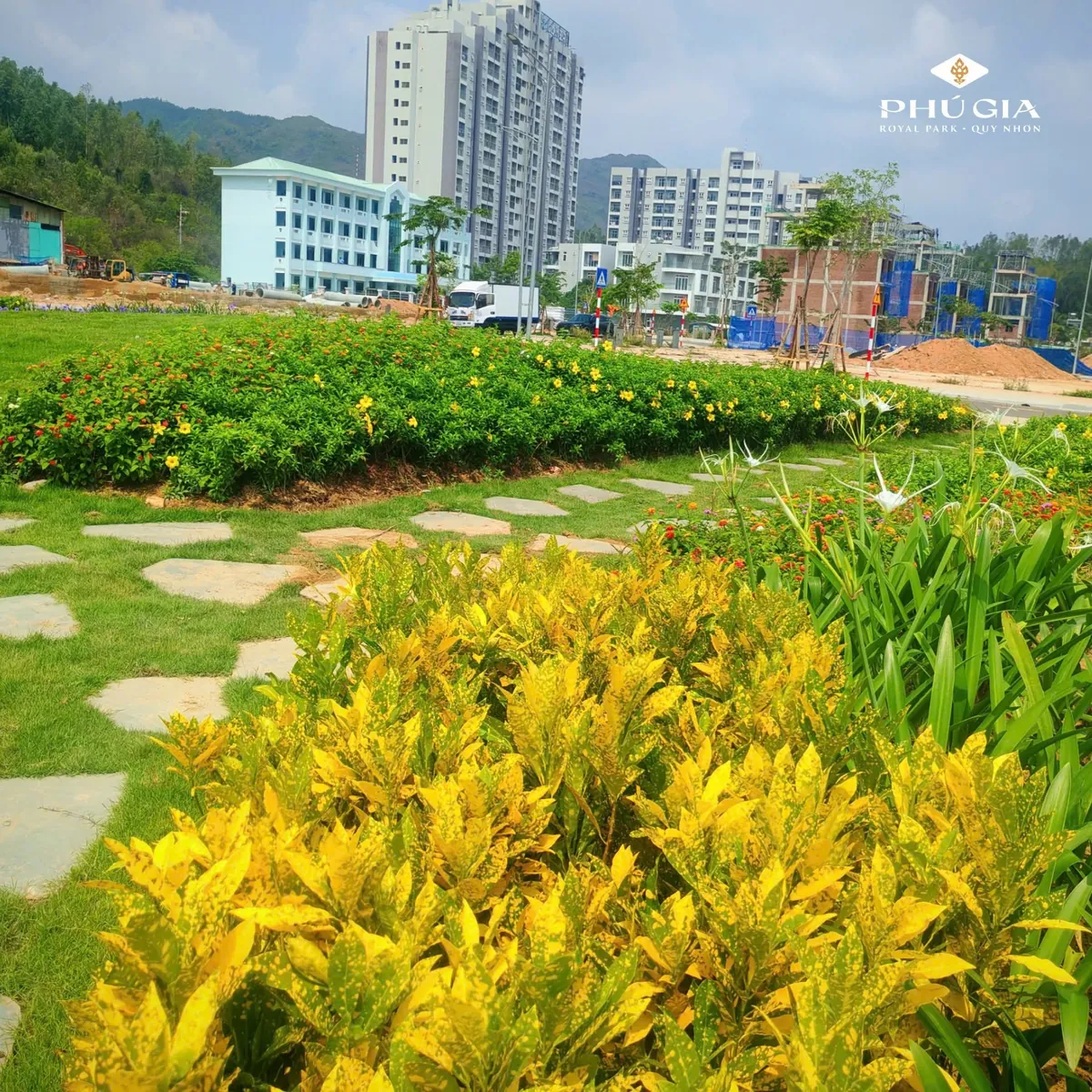 Cảnh quan thực tế Phú Gia Royal Park Cảnh quan cây xanh thực tế tại Phú Gia Royal Park Quy Nhơn